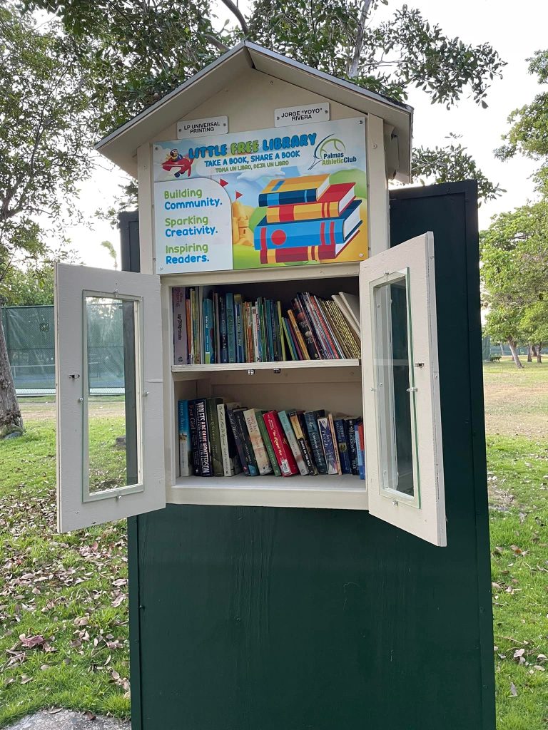 Palmas Del Mar Free Library